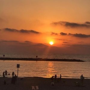 Meet your Posher, Odie